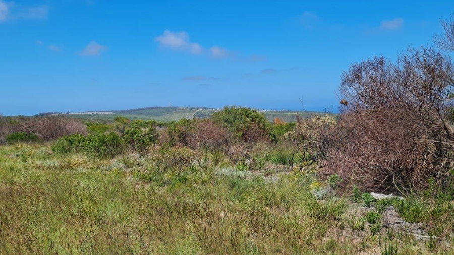 3 Bedroom Property for Sale in Paradise Coast Western Cape